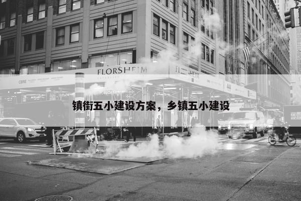 镇街五小建设方案，乡镇五小建设