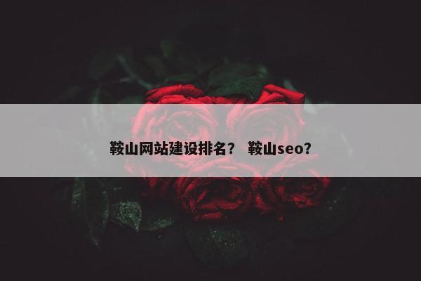鞍山网站建设排名？ 鞍山seo？