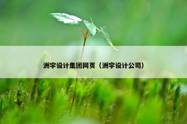 洲宇设计集团网页（洲宇设计公司）