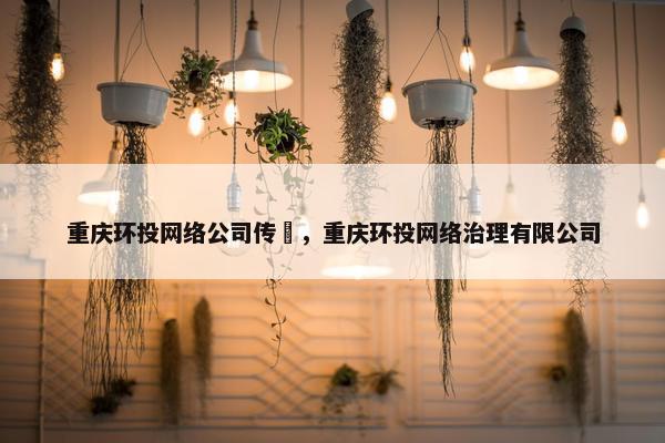 重庆环投网络公司传娒，重庆环投网络治理有限公司