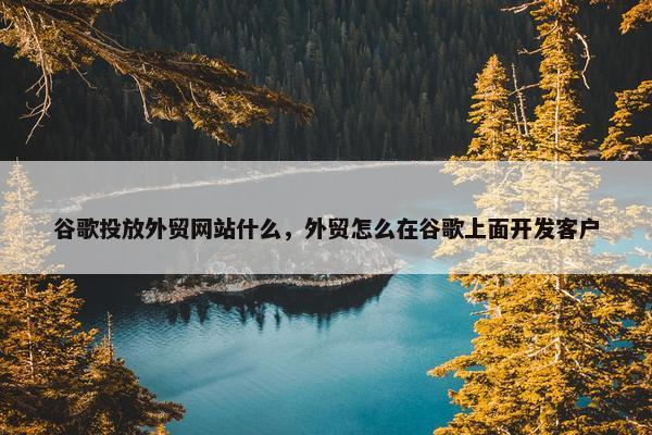 谷歌投放外贸网站什么，外贸怎么在谷歌上面开发客户