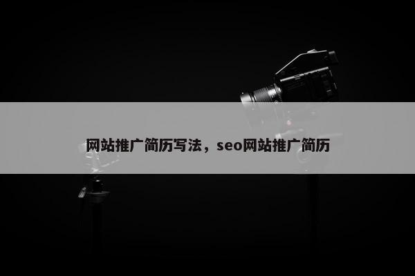 网站推广简历写法，seo网站推广简历