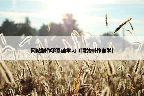 网站制作零基础学习（网站制作自学）