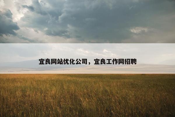 宜良网站优化公司，宜良工作网招聘
