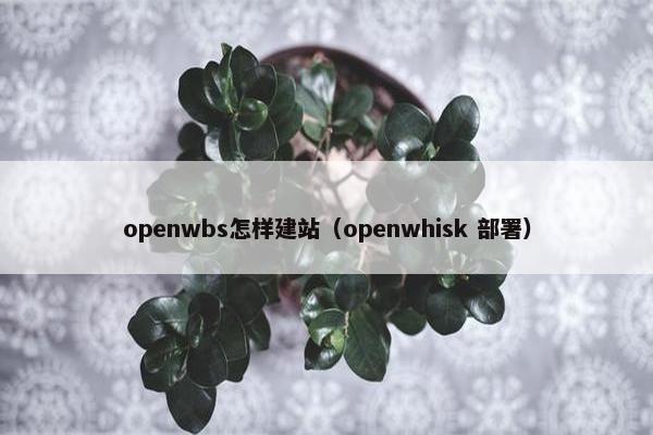 openwbs怎样建站（openwhisk 部署）