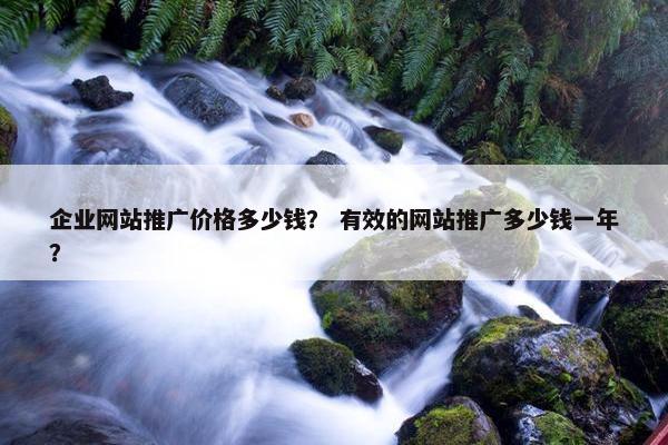 企业网站推广价格多少钱？ 有效的网站推广多少钱一年？