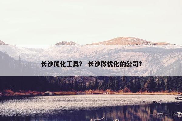 长沙优化工具？ 长沙做优化的公司？