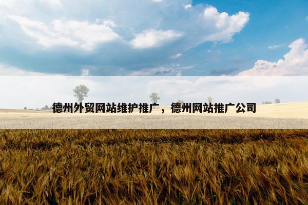 德州外贸网站维护推广，德州网站推广公司