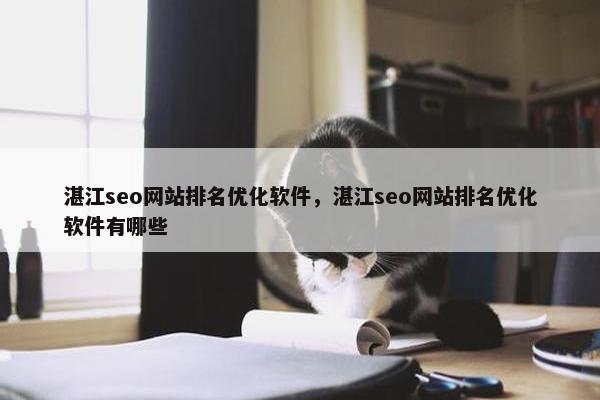 湛江seo网站排名优化软件，湛江seo网站排名优化软件有哪些
