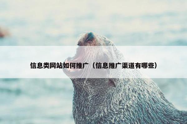 信息类网站如何推广（信息推广渠道有哪些）