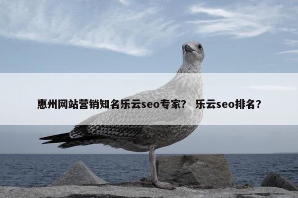 惠州网站营销知名乐云seo专家？ 乐云seo排名？