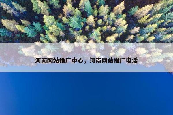 河南网站推广中心，河南网站推广电话