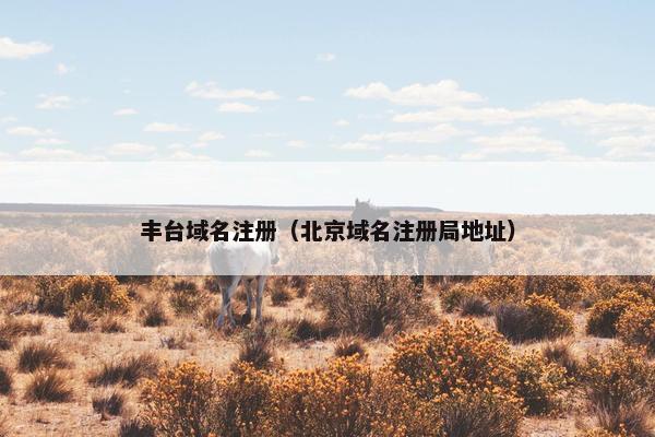 丰台域名注册（北京域名注册局地址）