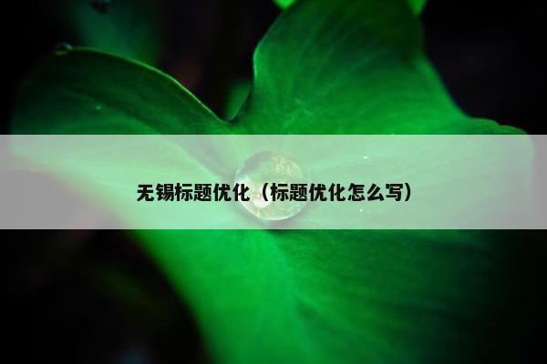 无锡标题优化（标题优化怎么写）