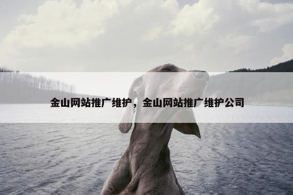 金山网站推广维护，金山网站推广维护公司