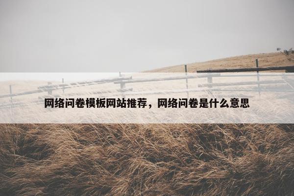 网络问卷模板网站推荐，网络问卷是什么意思