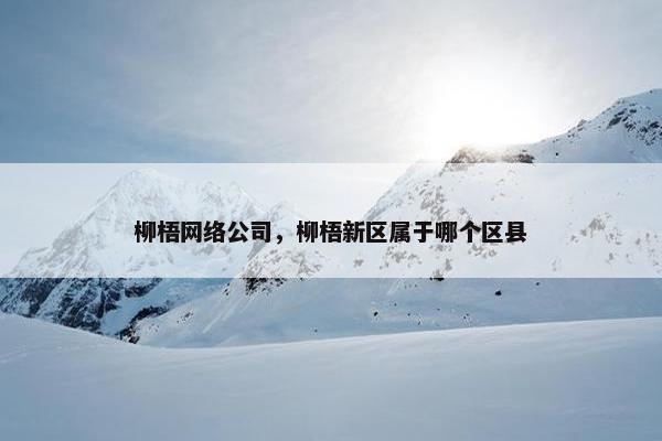 柳梧网络公司，柳梧新区属于哪个区县