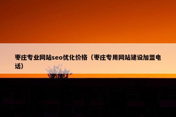 枣庄专业网站seo优化价格（枣庄专用网站建设加盟电话）