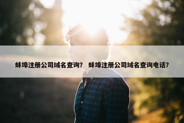 蚌埠注册公司域名查询？ 蚌埠注册公司域名查询电话？