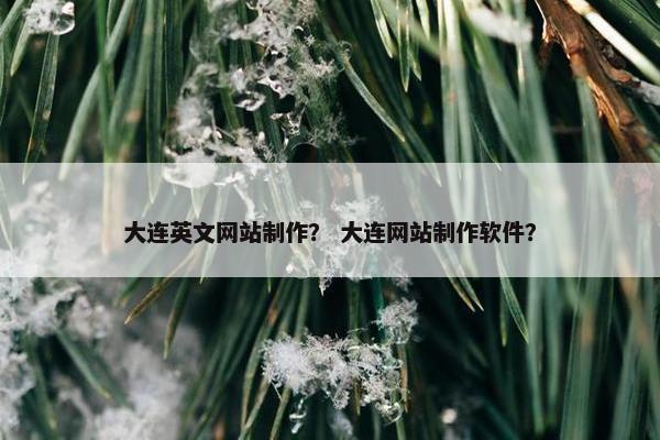 大连英文网站制作？ 大连网站制作软件？