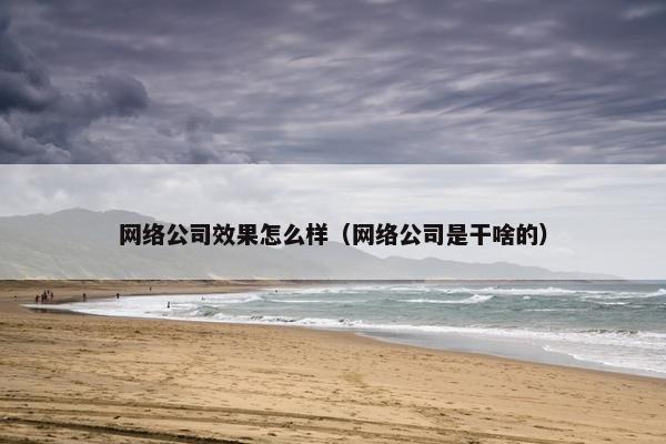 网络公司效果怎么样（网络公司是干啥的）