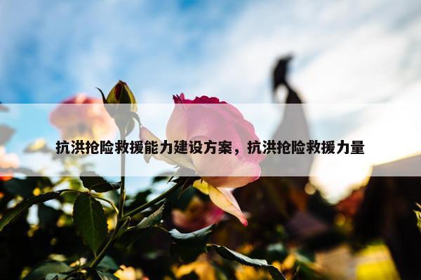 抗洪抢险救援能力建设方案，抗洪抢险救援力量