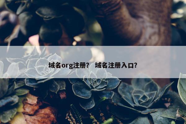 域名org注册？ 域名注册入口？