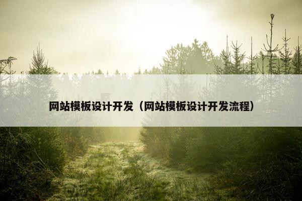 网站模板设计开发（网站模板设计开发流程）