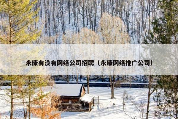 永康有没有网络公司招聘（永康网络推广公司）