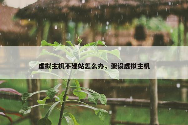 虚拟主机不建站怎么办，架设虚拟主机