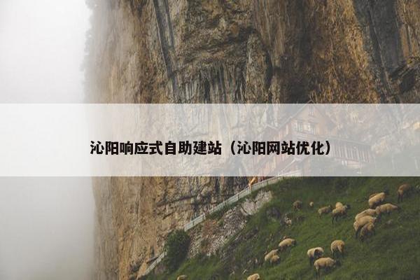 沁阳响应式自助建站（沁阳网站优化）