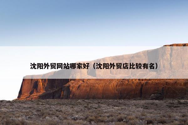 沈阳外贸网站哪家好（沈阳外贸店比较有名）