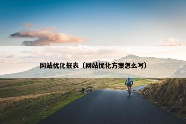 网站优化报表（网站优化方案怎么写）