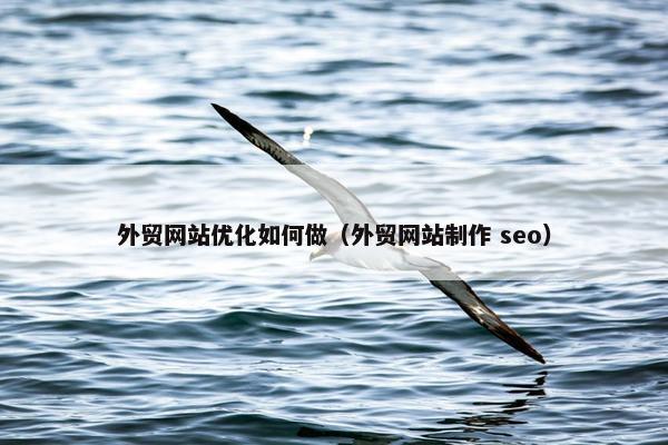 外贸网站优化如何做（外贸网站制作 seo）