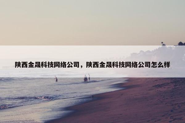 陕西金晟科技网络公司，陕西金晟科技网络公司怎么样
