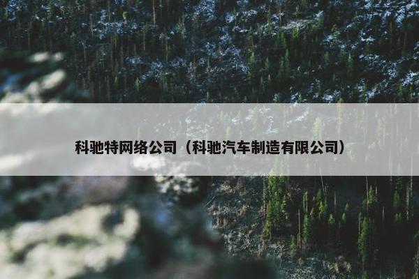 科驰特网络公司（科驰汽车制造有限公司）