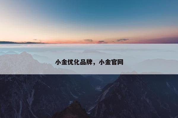 小金优化品牌，小金官网