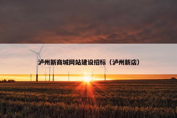 泸州新商城网站建设招标（泸州新店）