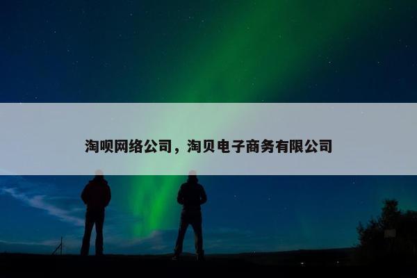 淘呗网络公司，淘贝电子商务有限公司