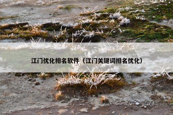 江门优化排名软件（江门关键词排名优化）