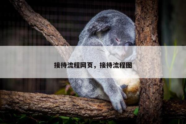 接待流程网页，接待流程图