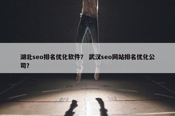 湖北seo排名优化软件？ 武汉seo网站排名优化公司？