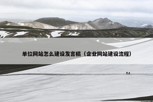 单位网站怎么建设发言稿（企业网站建设流程）