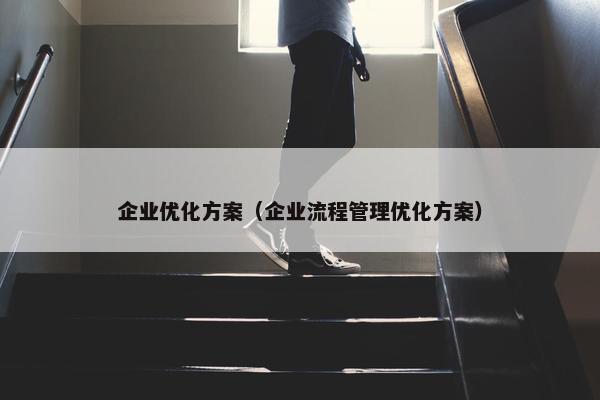 企业优化方案（企业流程管理优化方案）