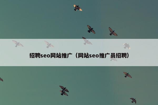招聘seo网站推广（网站seo推广员招聘）