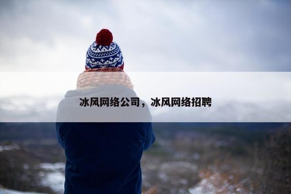 冰风网络公司，冰风网络招聘