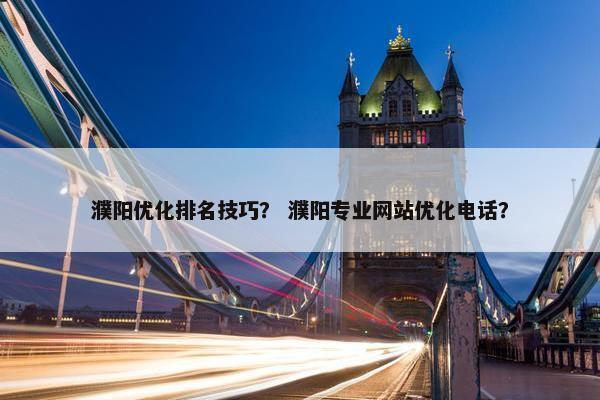 濮阳优化排名技巧？ 濮阳专业网站优化电话？