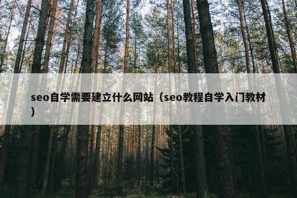 seo自学需要建立什么网站（seo教程自学入门教材）
