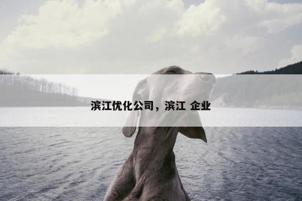 滨江优化公司，滨江 企业