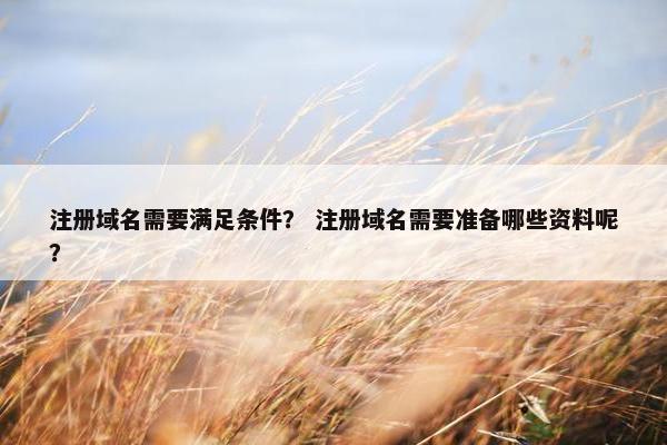 注册域名需要满足条件？ 注册域名需要准备哪些资料呢？